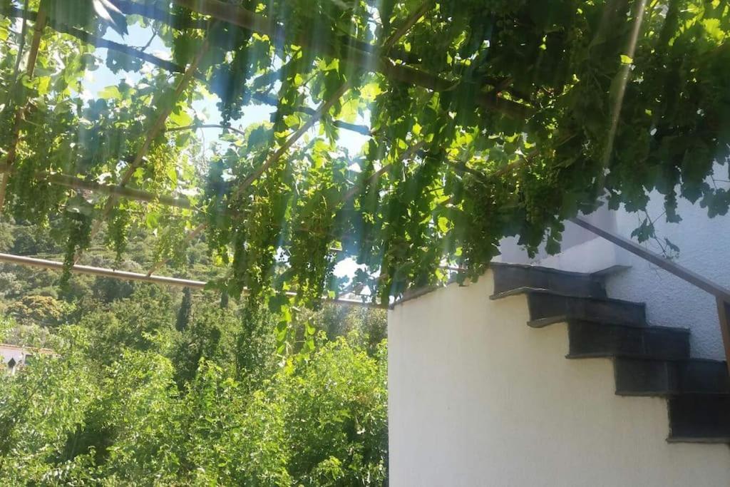Traditional House In Akamatra Square Exterior foto